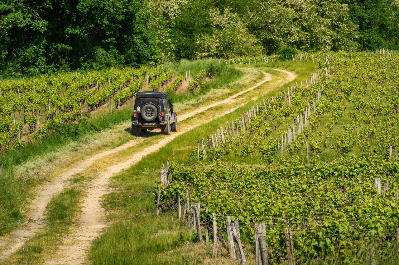 Vignobles de la Loire pendant la balade 4x4, pr\u00e8s d\u2019Amboise.